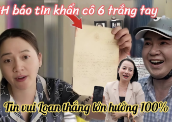 Luật Sư Bác Yêu Cầu Cô 6 Đòi 15%, Hồng Loan Rộng Cửa Thắng Kiên Hưởng Tài Sản 100 Tỷ