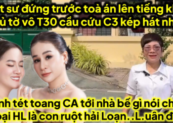 Luật sư đứng trước toà lên tiếng khét A3 ủ tờ vô T30 cầu cứu C3 kép hát nhục,bánh tét tới số hải