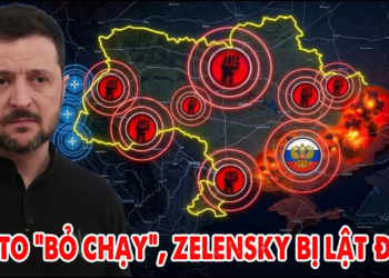 Cố vấn Tổng thống Ukraine cảnh báo Zelensky nguy cơ Ukraine bạo loạn lật đổ !