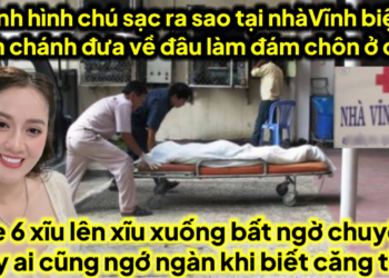 Tình hình chú sạc tại nhà vĩnh biệt bình chánh ve xĩu lên xĩu xuống bất ngờ khi biết chuyện này căng