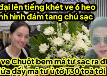 A đại lên tiếng khét 6 ve và tình hình đám chú sạc,6 ve chuột hứa với chú sạc đẩy má tư ủ tờ T30