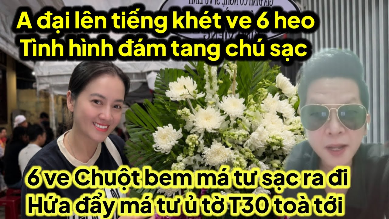 A đại lên tiếng khét 6 ve và tình hình đám chú sạc,6 ve chuột hứa với chú sạc đẩy má tư ủ tờ T30