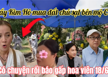 Quá Sốc NS Kim Tử Long Bị Réo Tên L.ộ Tẩy Kim Hô Đứng Tên Miếng Đất Chú Sạt Bên Mộ Ba Hồng Loan