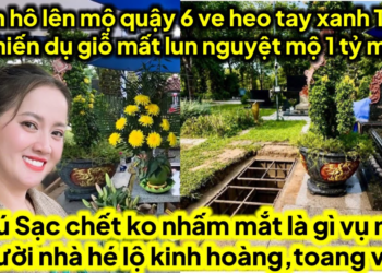 Con hô lên mộ quậy ký giấy xong biết 6 ve tao nghiến dụ giỗ nó tức mấy 1tỷ mấy,sạc ko nhắm mắt do ai