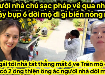 Người nhà chú sạc bên pháp về tới nhà bụp 6 dời mộ đi người đời lên 2 mộ cậu có ông thiện ông ác