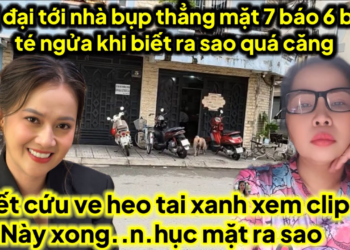 Chị đại tới nhà bụp thẳng 7 báo 6 bào té ngửa khi biết triệu người..b.ức xúc ra sao ve heo..n.hục
