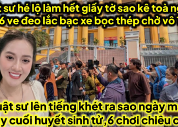 Luật sư hé lộ làm giấy tờ sao kê toà mai ve 6 đeo lắc bạc vô T30,thêm 1 youtube quay xe khoá mõm