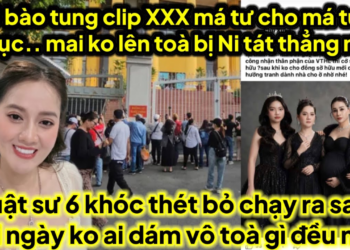 Ni lên thẳng mặt 6 ve chạm mặt khi gặp ở toà