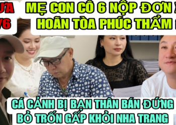 Cá Cảnh Bị Bạn Thân Bán Đứng Bỏ Trốn Gấp, Mẹ Con Cô 6 Nộp Đơn Xin Hoãn Tòa Phúc Thẩm
