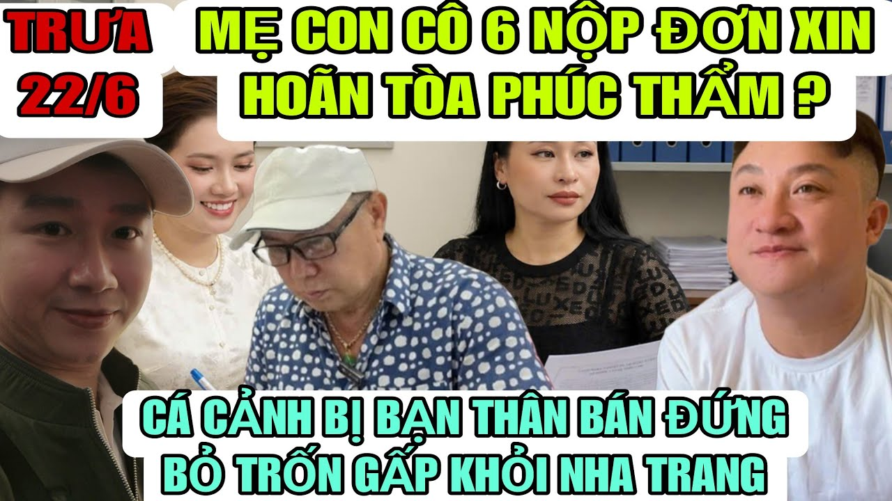 Cá Cảnh Bị Bạn Thân Bán Đứng Bỏ Trốn Gấp, Mẹ Con Cô 6 Nộp Đơn Xin Hoãn Tòa Phúc Thẩm