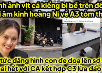 Hình ảnh vịt cá kiểng bị bế trên đồn CA Ni tung Ghi Âm A3.kinh hồn C3 giờ ra sao căng thật