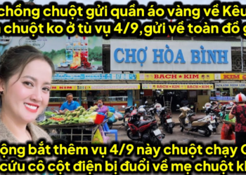 Cô nghệ sĩ khủng Mẹ chồng chuột đi bài cho chuột qua gặp cô cột điện cầu cứu A chuột thoát ủ tờ 4/9