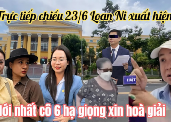 Hồng Loan Tá Hoả NGƯỜI NÀY Chi Tiền Tỷ Giúp HP Ra Toà, VC Chuột Dính Án Bỏ Trốn Vắng Tòa?
