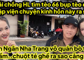 Hải chồng HL tìm bụp tèo 66 chuyện kinh hông này Kim Ngân Nha Trang vô quán..x.ử chuột quỳ lạy