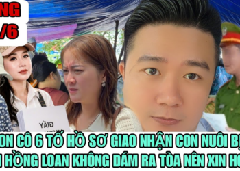 Mẹ Con Cô 6 Tố Hồ Sơ Giao Nhận Con Nuôi Bị Hủy Bỏ Nên Hồng Loan Sợ Thua Xin Hoãn Tòa Phúc Thẩm