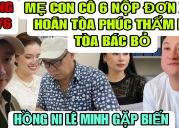 Mẹ Con Cô 6 Khóc Ngất Khi Đơn Xin Hoãn Bị Bác Bỏ, Hồng Ni Lê Minh Gặp Biến Lớn