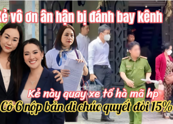 Con Nui Cô 6 Bốc Phốt Hà Mã Sau Đám Tang Chú Sạt,Hồng Loan Đáp Trả Thực Dụng Giả Bệnh Trốn Toà