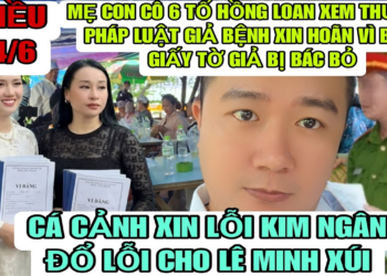 Mẹ Con Cô 6 Tố Hồng Loan Vi Phạm Pháp Luật Giả Bệnh Xin Hoãn Vì Biết Giấy Tờ Con Nuôi Là Giả