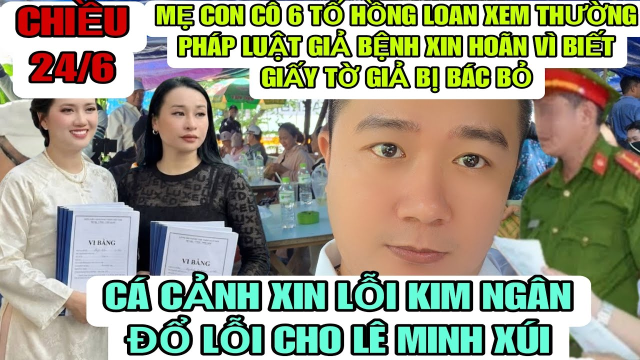 Mẹ Con Cô 6 Tố Hồng Loan Vi Phạm Pháp Luật Giả Bệnh Xin Hoãn Vì Biết Giấy Tờ Con Nuôi Là Giả