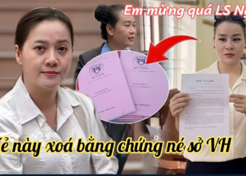 Luật Sư Tung Bằng Chứng Lý Do Cô 6 Bị Gạt Tên Sổ Hộ Khẩu, Tình Hình Sức Khoẻ H Loan Sắp Về Nhà