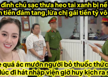 Heo tai xanh bị bế vô T30 lừa chị gái tiền tỷ bị gia đình sạc thưa vụ đám tang,6..h.ại HL 5 đứa con