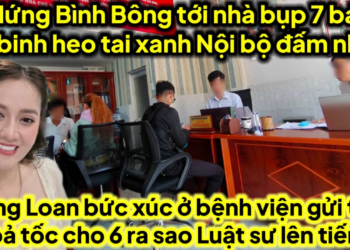 Hứng bình bông tới nhà đấm 7 báo binh heo tai xanh HL bức xúc ở bệnh viện gửi thư hoả tốc đến 6 căng