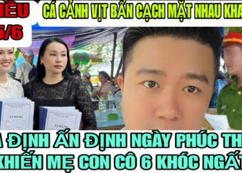 Tòa Ấn Định Ngày Xét Xử Phúc Thẩm, Cá Cảnh Vịt Bẩn Cạch Mặt Nhau