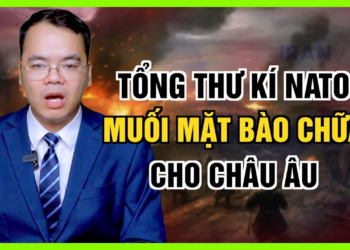 Eo Biển Hormuz Rung Chuyển: UN Dừng Sơ Tán Tàu Sau Vụ Iran Tấn Công Tàu Chở Dầu