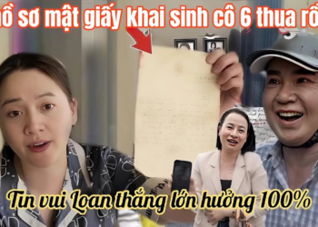 Hồng Loan Tung Hồ Sơ Mật ADN Luật Sư Bỏ Cuộc, Toà Bác Đơn Cô 6 Thua Trắng Rút Đơn