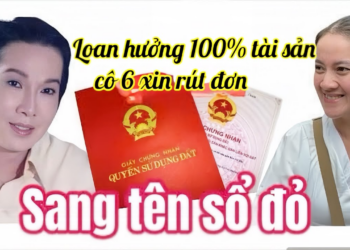 Chị Ni Tiếc L.ộ Bí Mật Tờ Di Chúc, Hồng Loan Bổ Sung Lên Tòa Cô 6 Đ.uối Lý Cầu Xin Điều Này