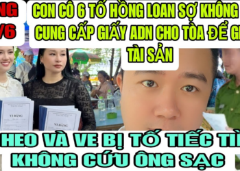 Con Cô 6 Tố Hồng Loan Sợ Nên Không Dám Đưa Ra Giấy ADN Để Chứng Minh Con Ruột Nhận Tài Sản Cậu 5
