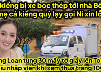 Cá kiểng bị xe bọc thép tới nhà bế mẹ cá gọi Ni quỳ lạy xin tha,6 té xĩu khi xem giấy tờ này ra sao