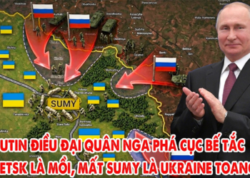 Putin điều đại quân Nga phá cục bế tắc, Donetsk hóa mồi nhử, Sumy thành mũi tấn công chính !
