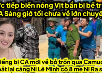 Trực tiếp biến nóng Vịt bẩn trên CA sáng tới tối chưa về cá kiểng bị mời về trốn qua cam bị bắt lại