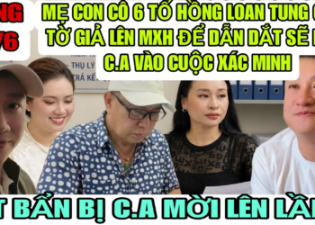 Mẹ Con Cô 6 Tố Hồng Loan Tung Giấy Tờ Giả Lên Mạng Để Dẫn Dắt CĐM Được Sao Không Dám Tung Giấy ADN