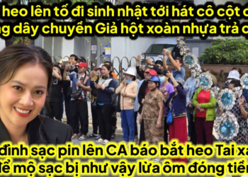 Ve 6 heo lên tố cô cột điện tặng vàng giả hột xoàn nhựa trả quà,heo lên CA toang gia đình sạc