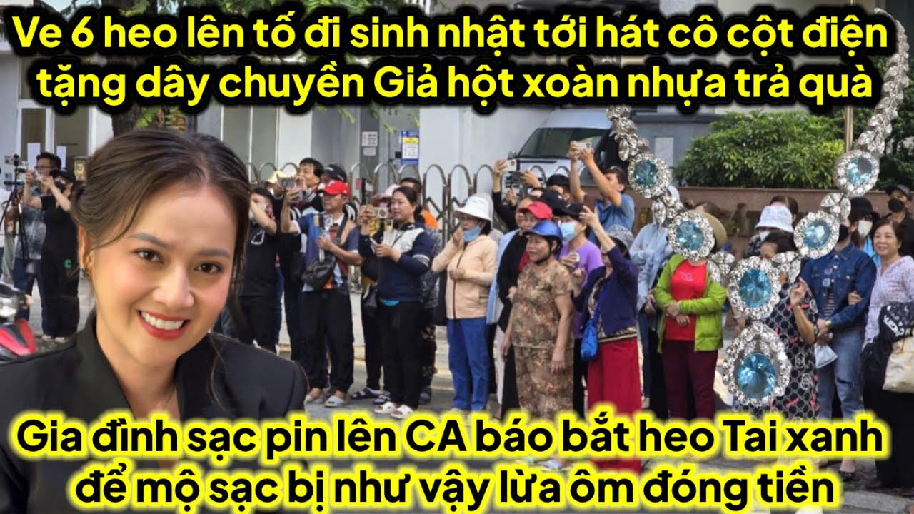 Ve 6 heo lên tố cô cột điện tặng vàng giả hột xoàn nhựa trả quà,heo lên CA toang gia đình sạc