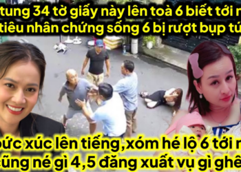 HL tung hé lộ nhân chứng sống lên toà tới là ai 6 tới nhà thủ tiêu rượt bụp 6 túi bụi,Ni lên tiếng