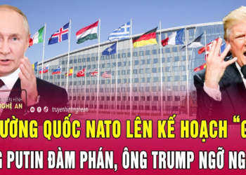 3 cường quốc NATO lên kế hoạch “gọi” ông Putin đàm phán, ông Trump ngỡ ngàng