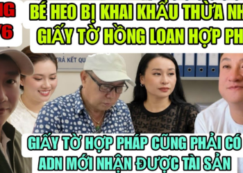 Lính Ruột Mẹ Con Cô 6 Bị Khai Khẩu Thừa Nhận Giấy Tờ Hồng Loan Hợp Pháp