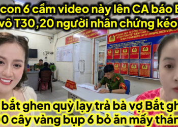 Mẹ con 6 cầm video thầy đi thưa HL báo CA bế HL vô T30,20 nhân chứng kéo tới 6 tiêu đời ve té ngửa