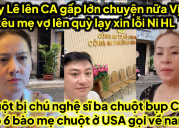 Huy Lê lên CA mới nhất đi gấp vịt kêu mẹ vợ lên quỳ lạy xin lỗi Ni HL vịt ủ tờ,chuột bị bụp cấm gặp6