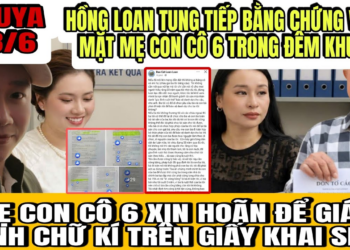Hồng Loan Bất Ngờ Tung Thêm Bằng Chứng Vả Thẳng Mặt Mẹ Con Cô 6 Trong Đêm Khuya