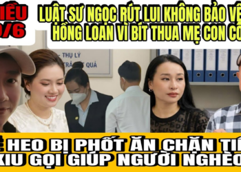 Luật Sư Ngọc Rút Khỏi Vụ Tranh Chấp Giành Nhà Cho Ở Nhờ Vì Bít Hồng Loan Thua Mẹ Con Cô 6 15%