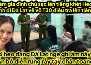 Ghi âm gia đình chú sạc lên tiếng heo tay xanh Đà Lạt về vô T30 điều tra lên đến tiền tỷ ủ tờ 10 năm