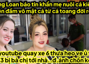 Hồng Loan báo tin khẩn mẹ nuôi cá kiểng từ cá kiểng 2 YouTube quay xe 6 C3 bị..đ.ánh tới nhà chốn