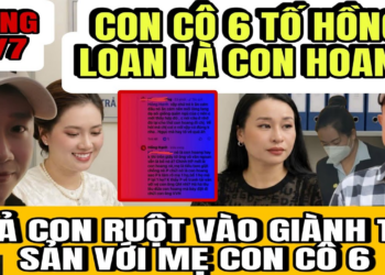 Con Cô 6 Khóc Lóc Nói Hồng Loan Là Con Hoang Vào Đây Giành Tài Sản Với Gia Đình Ruột Của Ông 5