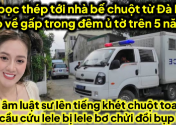 Chuột ở Đà Lạt về gấp trong đêm bị CA tới nhà bế gọi cầu cứu lele bị lele bơ lên bụp lele căng đét