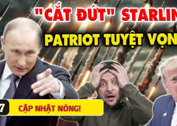 Điểm Nóng 7/7: NGA KHÓA CHẶT STARLINK CỰC GẮT – Zelensky Khẩn Cầu Patriot Trong Tuyệt Vọng!