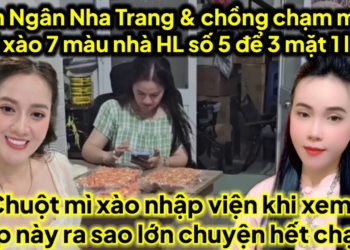 Kim Ngân & chồng chạm mặt mì xào ở nhà số 5 ba măt 1 lời chuột 6 nhập viện khi xem ra sao hết chạy